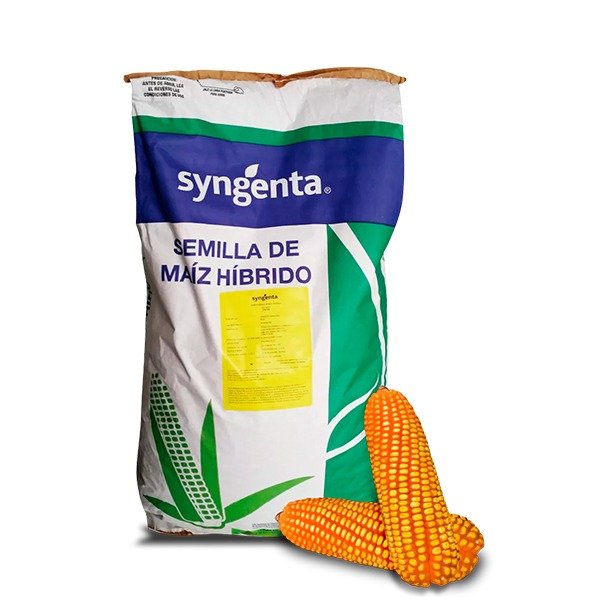 Semilla de maíz híbrido 7 kg